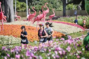 BIB: 
                            <button type="button" onclick="openModal(27793948)" class="btn btn-primary btn-sm float-right btn-popup" data-toggle="modal" data-target=".modal-high-quality">
                        <i class="fas fa-shopping-cart"></i> Add to Cart
                    </button>
                                            <button type="button" onclick="isThisMe(27793948, true)" class="btn btn-success btn-sm float-right btn-popup btn-isme hidden" data-toggle="tooltip" data-placement="bottom" title="นี่คือรูปของคุณใช่ไหม คลิกที่นี่เพื่อเอาเข้าอัลบั้ม">
                        <i class="fas fa-plus"></i> Add to album
                    </button>
                    <button type="button" onclick="isThisMe(27793948, false)" class="btn btn-warning btn-sm float-right btn-popup btn-isnotme hidden">
                        <i class="fas fa-ban"></i> Remove from album
                    </button>